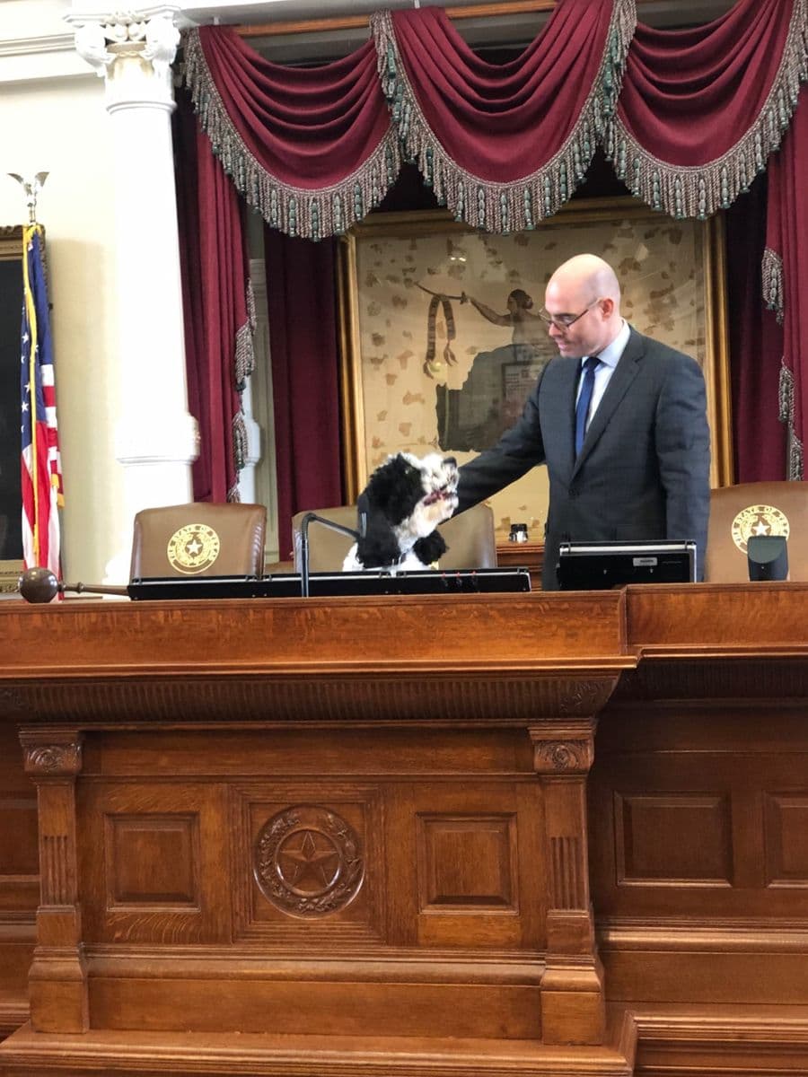 Dennis Bonnen with his dog Duke on the Texas House Chamber dais